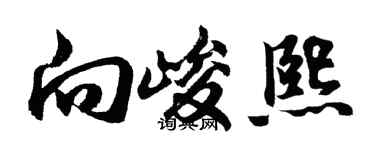 胡问遂向峻熙行书个性签名怎么写