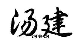 胡问遂汤建行书个性签名怎么写