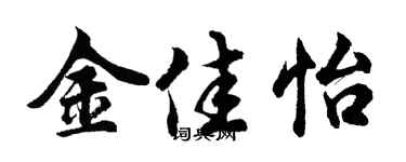 胡问遂金佳怡行书个性签名怎么写