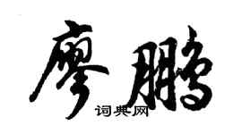 胡问遂廖鹏行书个性签名怎么写