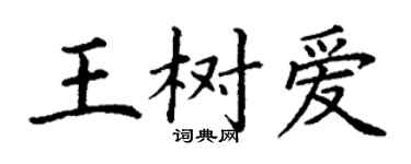 丁谦王树爱楷书个性签名怎么写