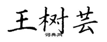 丁谦王树芸楷书个性签名怎么写