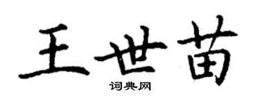 丁谦王世苗楷书个性签名怎么写