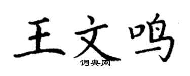 丁谦王文鸣楷书个性签名怎么写