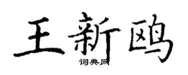 丁谦王新鸥楷书个性签名怎么写