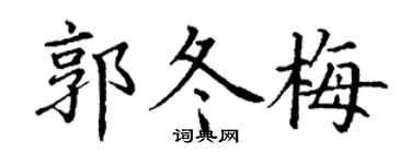 丁谦郭冬梅楷书个性签名怎么写