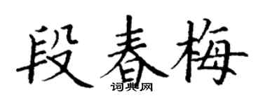 丁谦段春梅楷书个性签名怎么写