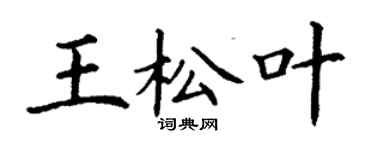 丁谦王松叶楷书个性签名怎么写