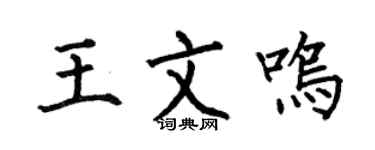 何伯昌王文鸣楷书个性签名怎么写