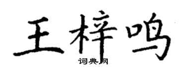 丁谦王梓鸣楷书个性签名怎么写