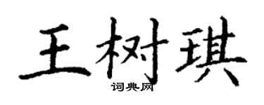 丁谦王树琪楷书个性签名怎么写