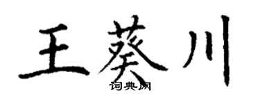 丁谦王葵川楷书个性签名怎么写