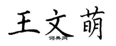 丁谦王文萌楷书个性签名怎么写