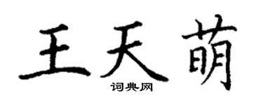 丁谦王天萌楷书个性签名怎么写