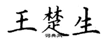 丁谦王楚生楷书个性签名怎么写