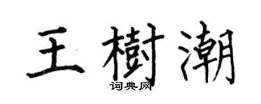 何伯昌王树潮楷书个性签名怎么写