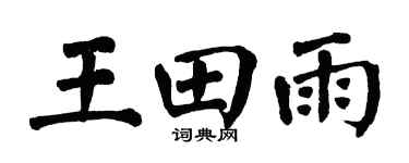 翁闿运王田雨楷书个性签名怎么写