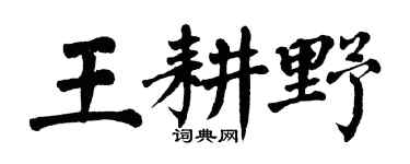 翁闿运王耕野楷书个性签名怎么写