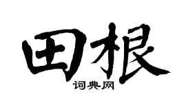 翁闿运田根楷书个性签名怎么写