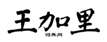 翁闿运王加里楷书个性签名怎么写