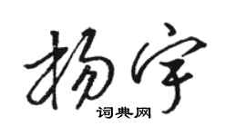 骆恒光杨宇草书个性签名怎么写