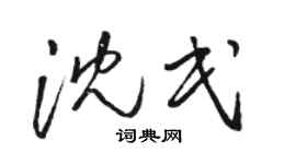 骆恒光沈民草书个性签名怎么写