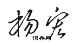 骆恒光杨宏草书个性签名怎么写