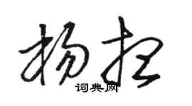 骆恒光杨想草书个性签名怎么写