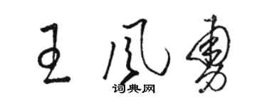 骆恒光王风勇草书个性签名怎么写