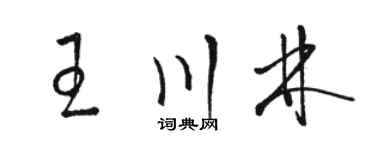 骆恒光王川林草书个性签名怎么写