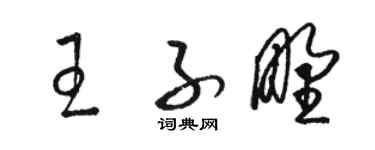 骆恒光王子野草书个性签名怎么写