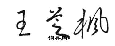 骆恒光王芝枫草书个性签名怎么写