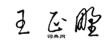 骆恒光王正野草书个性签名怎么写