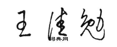 骆恒光王佳勉草书个性签名怎么写