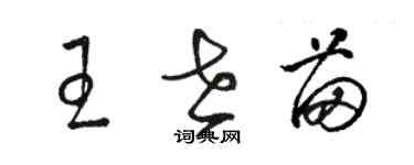 骆恒光王世苗草书个性签名怎么写