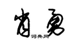 朱锡荣肖勇草书个性签名怎么写