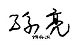 朱锡荣孙亮草书个性签名怎么写