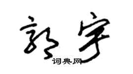 朱锡荣郭宇草书个性签名怎么写