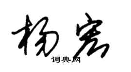 朱锡荣杨宏草书个性签名怎么写