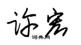 朱锡荣许宏草书个性签名怎么写