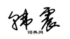 朱锡荣韩震草书个性签名怎么写