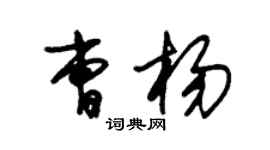 朱锡荣曹杨草书个性签名怎么写