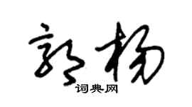 朱锡荣郭杨草书个性签名怎么写