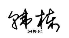 朱锡荣韩栋草书个性签名怎么写