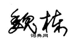 朱锡荣魏栋草书个性签名怎么写