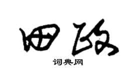 朱锡荣田政草书个性签名怎么写