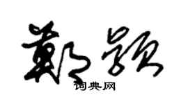 朱锡荣郑颖草书个性签名怎么写