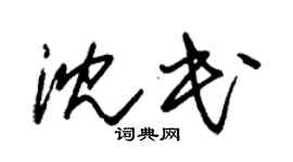 朱锡荣沈民草书个性签名怎么写