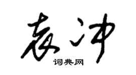 朱锡荣袁冲草书个性签名怎么写