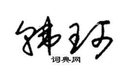 朱锡荣韩珂草书个性签名怎么写